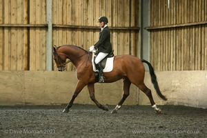 Isis Dressage Crown Farm Show 29th April 2012